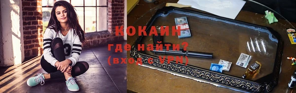 твердый Арсеньев