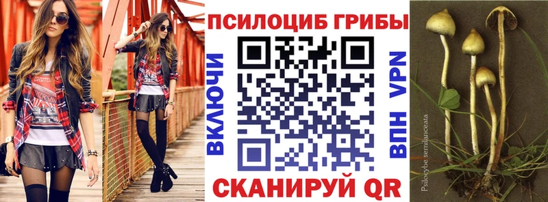 Галлюциногенные грибы Cubensis  omg как зайти  Арск 